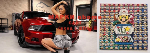 прущие грибы Березники